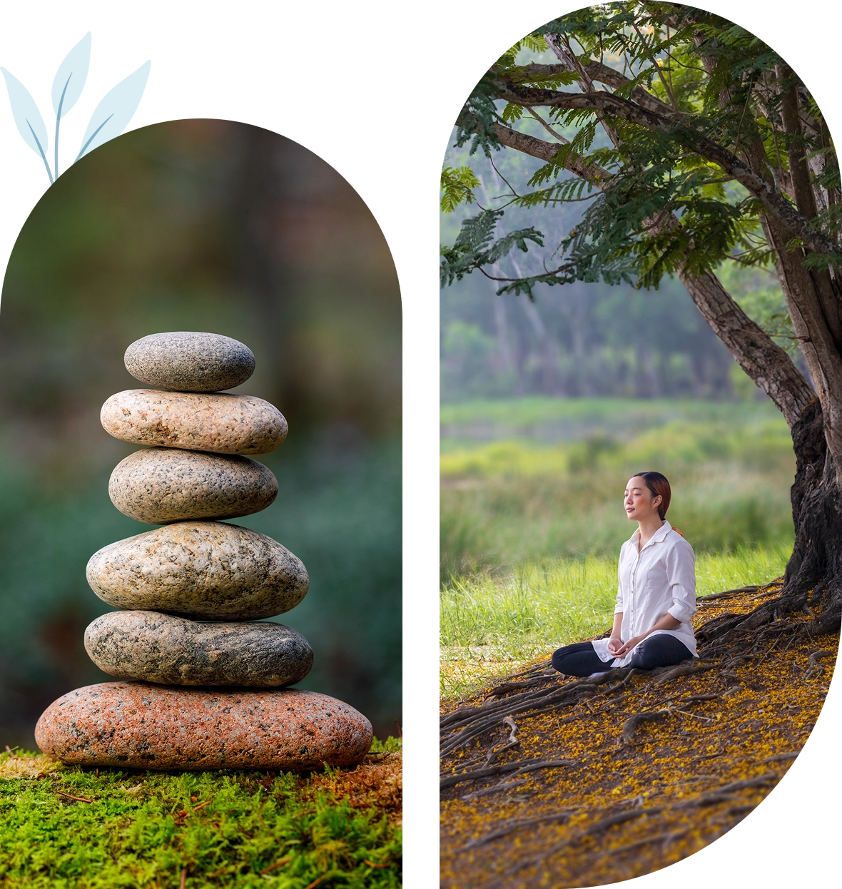 Stacked stones and meditating person under tree.