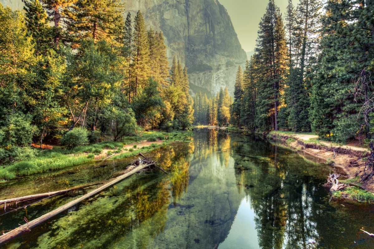 Mountain river with trees reflecting in water.