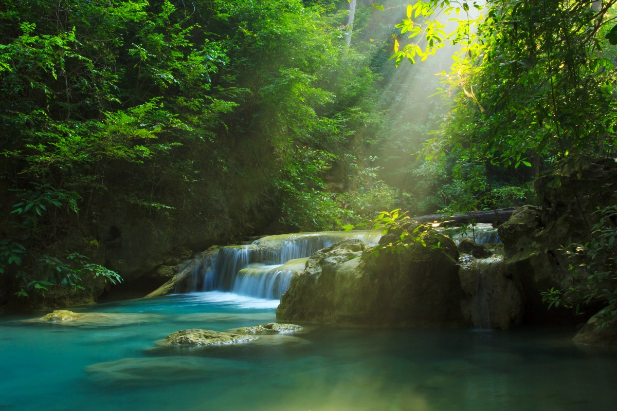 Waterfall in lush forest with sunlight rays.
